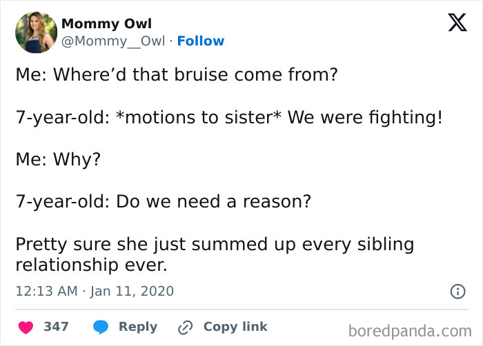 Things-Siblings-Fight-Over