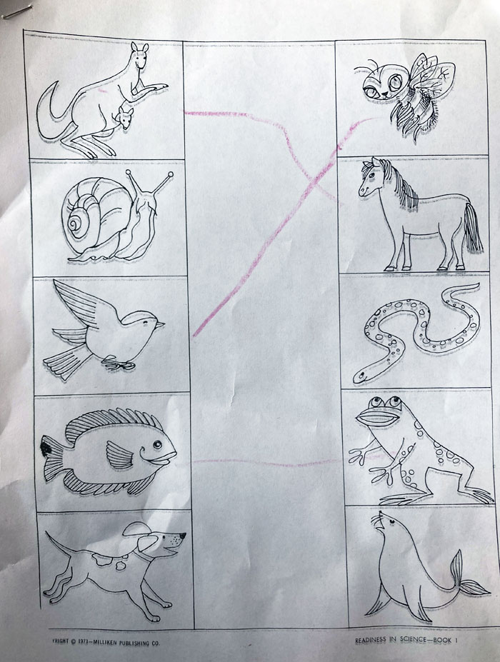 My Four-Year-Old Daughter's Preschool Homework. "Match The Pictures" With No Other Context﻿
