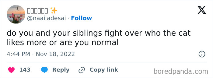 Things-Siblings-Fight-Over