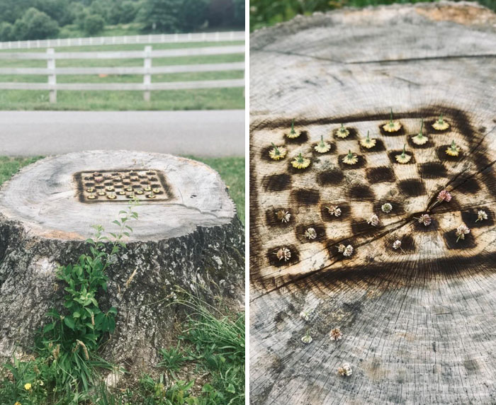A Fellow Coworker And I Burned A Checkerboard Into The Stump Of An Old Tree. We Played The First Game With Dandelion And Clover Flowers