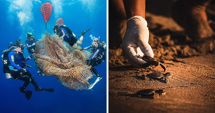 15 Winning Images Of The United Nations World Oceans Day Photo Competition 2024