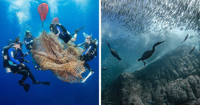 15 Winning Images Of The United Nations World Oceans Day Photo Competition 2024