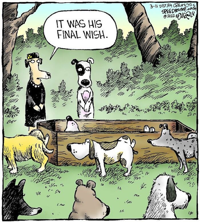 Dave Coverly's 'Speed Bump': A Delightful Dive Into The World Of Dogs (43 Pics)