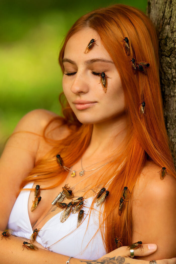 I Did A Creative Photoshoot With Cicadas Before They Are Gone (7 Pics)