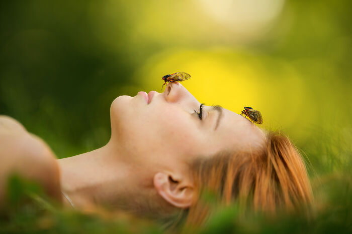 I Did A Creative Photoshoot With Cicadas Before They Are Gone (7 Pics)