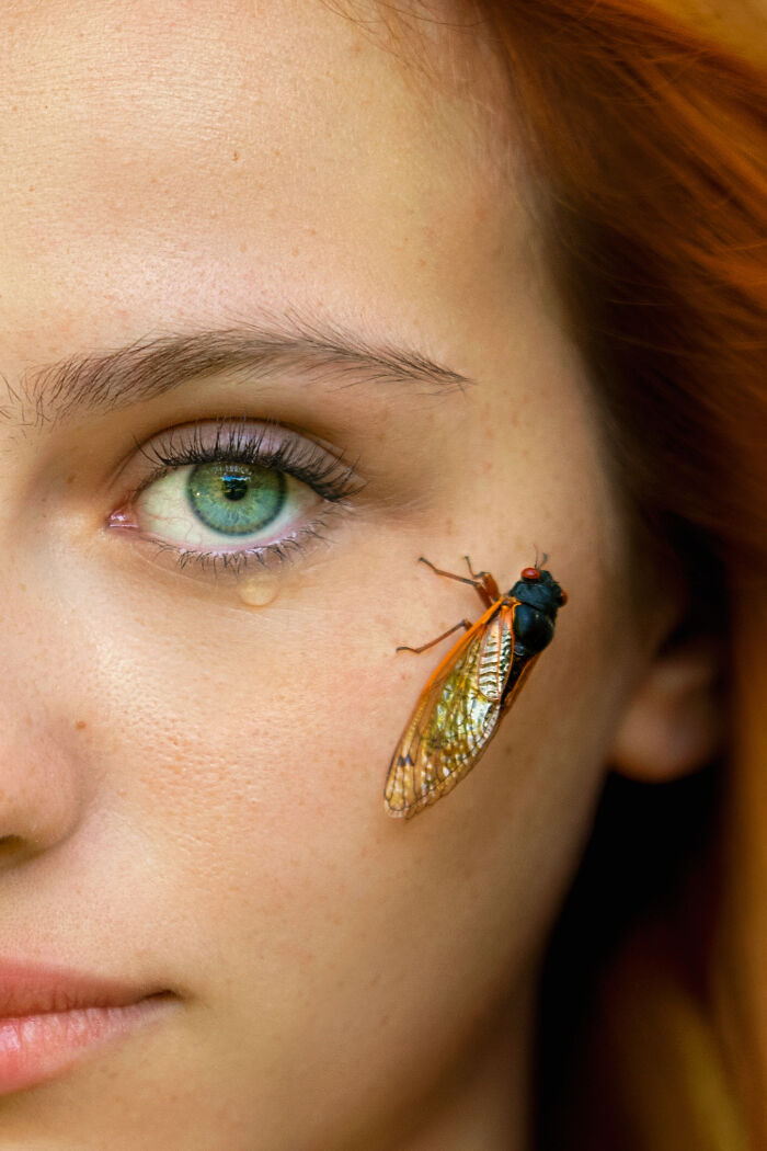 I Did A Creative Photoshoot With Cicadas Before They Are Gone (7 Pics)