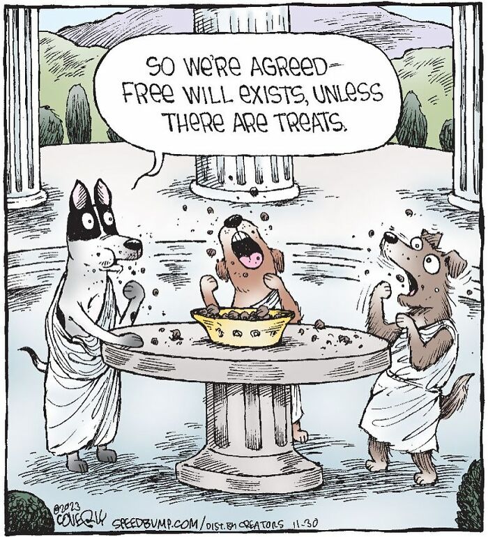 Dave Coverly's 'Speed Bump': A Delightful Dive Into The World Of Dogs (43 Pics)