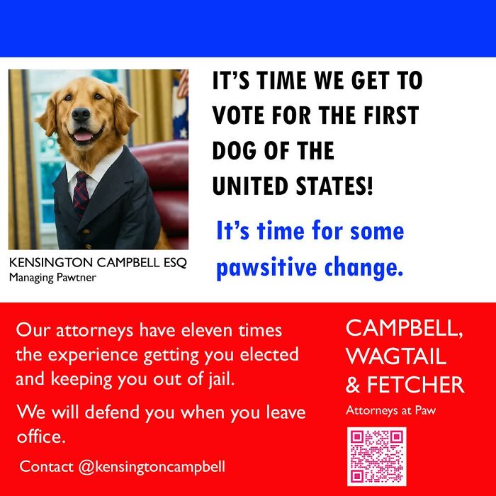 27 Parody Ads For All The Dogs Seeking Attorney Services By Kensington Campbell (New Pics)