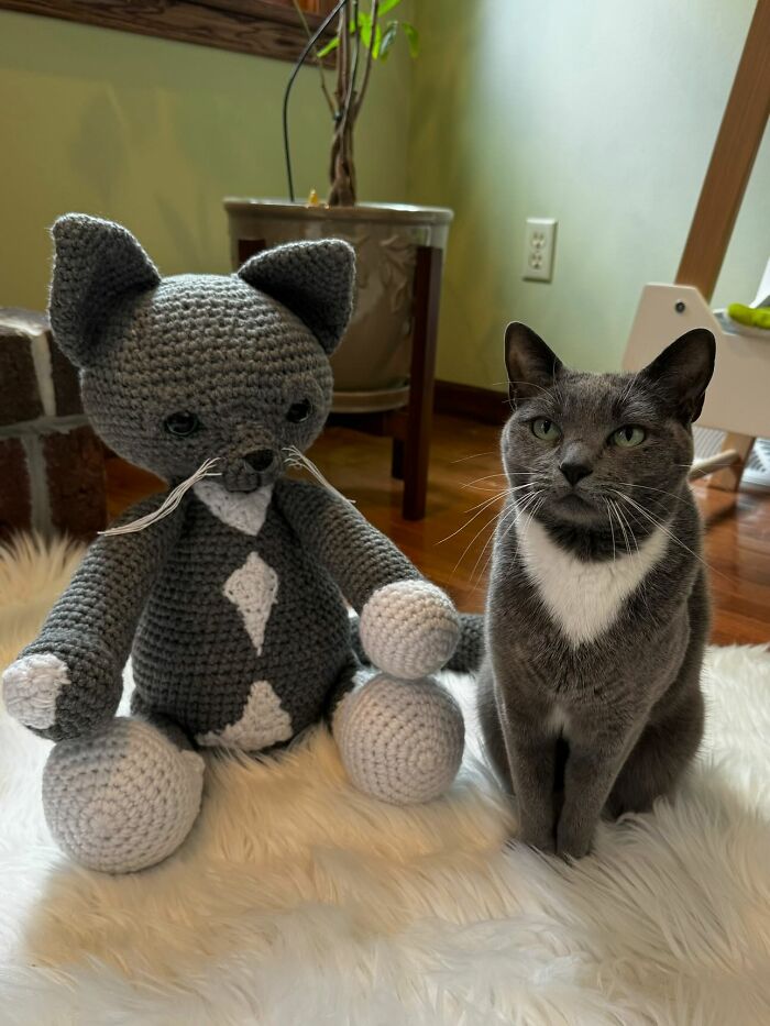 I Recreate People's Pets By Crocheting Their Replicas (7 Pics)