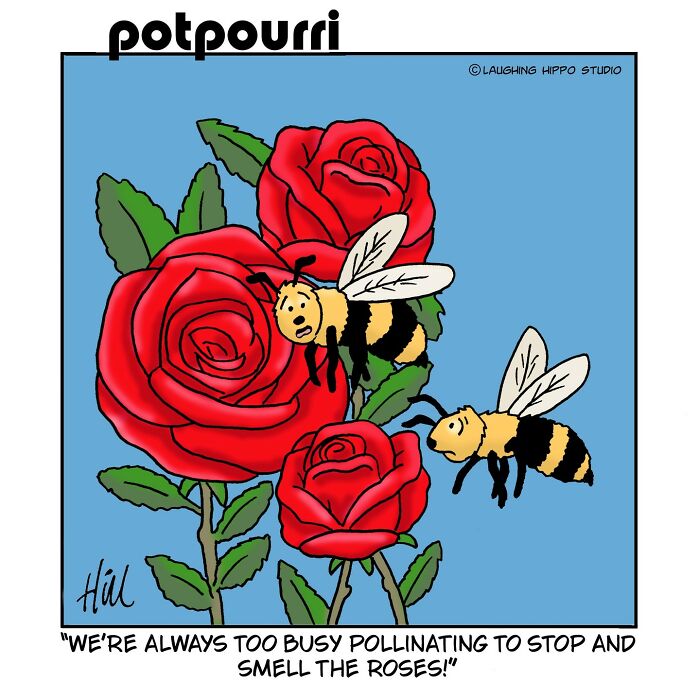 Laughing Hippo Studio: Doug Hill's Hilarious Comics Delight All Ages (75 New Pics)