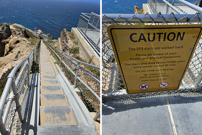 Not Really Death Stairs, Unless You Slip And Fall 300 Feet Into The Great White Shark Breeding Ground Below. As A Sidenote, It's Just A Short Drive From Bodega Bay, Where Hitchcock Filmed 'The Birds.'