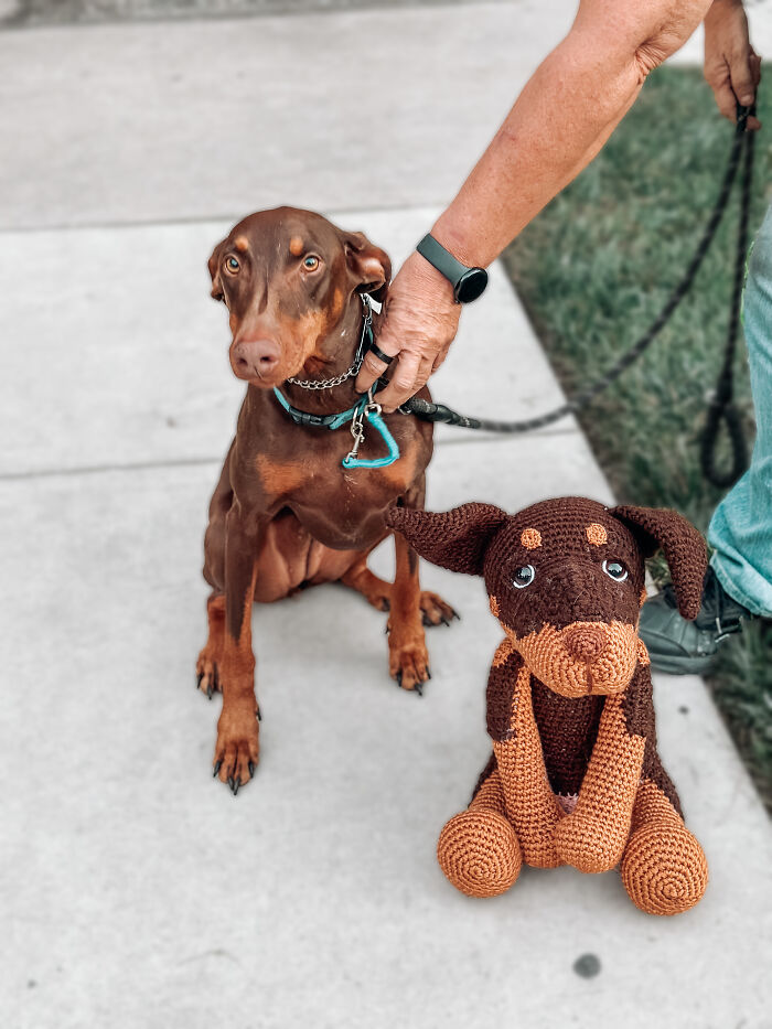 I Recreate People's Pets By Crocheting Their Replicas (7 Pics)