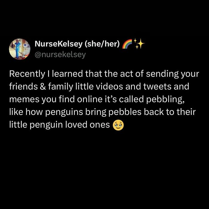 Millennial life meme about sending videos and tweets being called 'pebbling,' likened to penguins gifting pebbles.