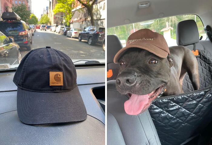 This Carhartt Baseball Cap Is A Trendy Alternative To His Worn Out Caps