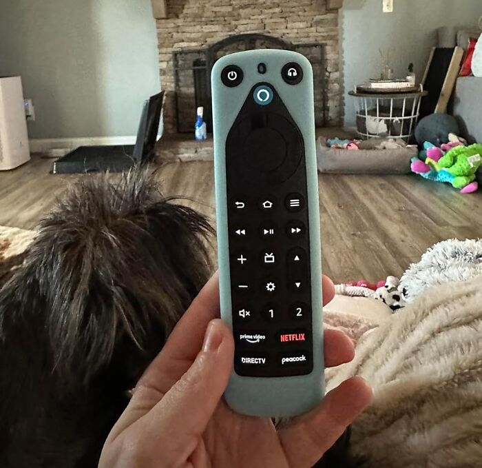  Amazon Alexa Voice Remote : For The Dad That Wishes He Was The Lead In The Movie 'Her'