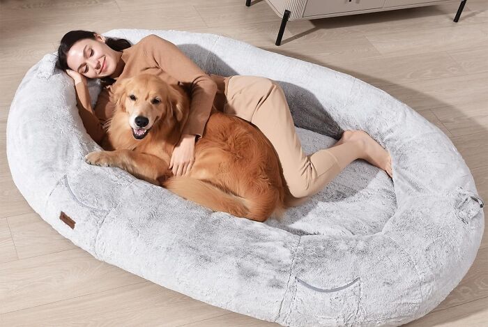 This Human Dog Bed For People Will Quickly Become Your New Favorite Spot For A Nap