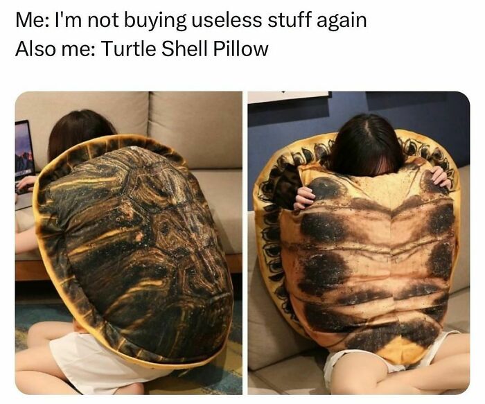 Person holding a turtle shell pillow in a humorous meme.