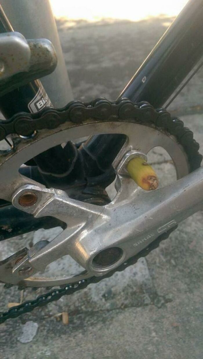 Someone Stole My Large Chainring And Bolts, So I Used An Acorn To Make It The Two Miles To The Train Station