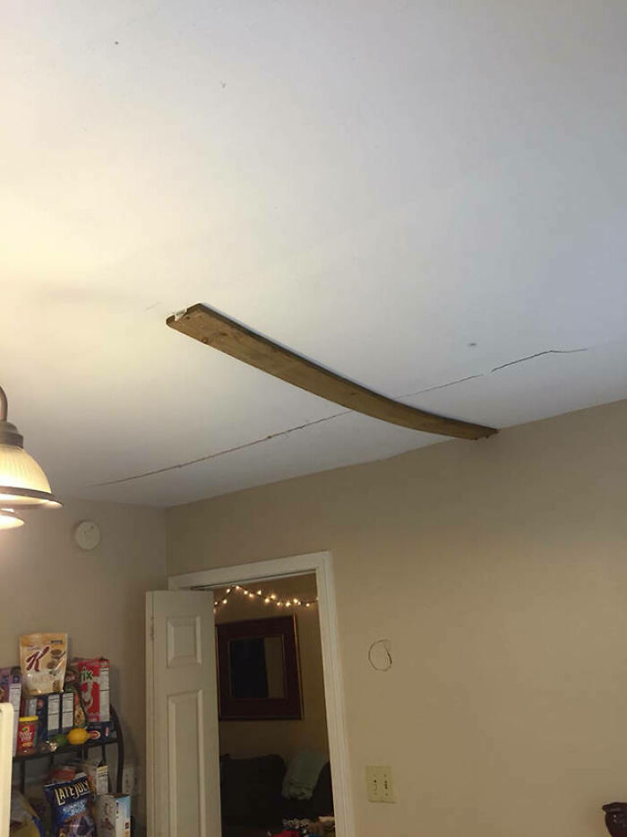 Roof Leak, Schmoof Leak