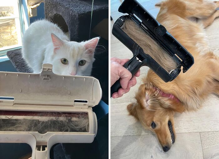 This Pet Hair Remover Roller Is The Last Of Its Kind You Will Need