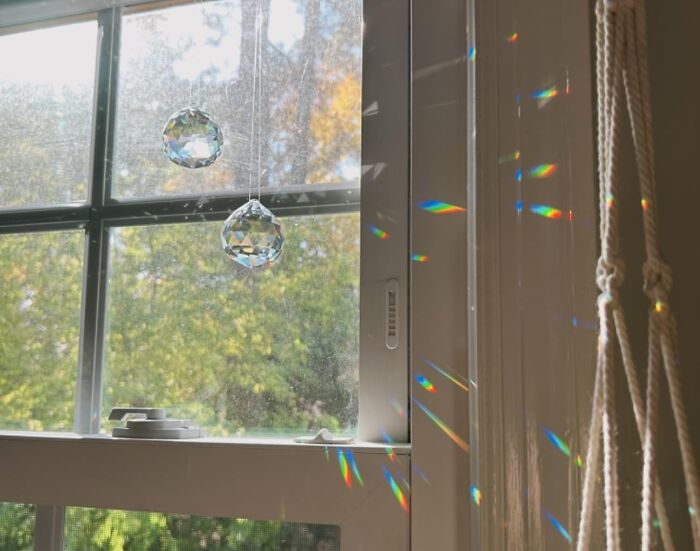 A Crystal Ball Prism Will Bring You Joy, Daily