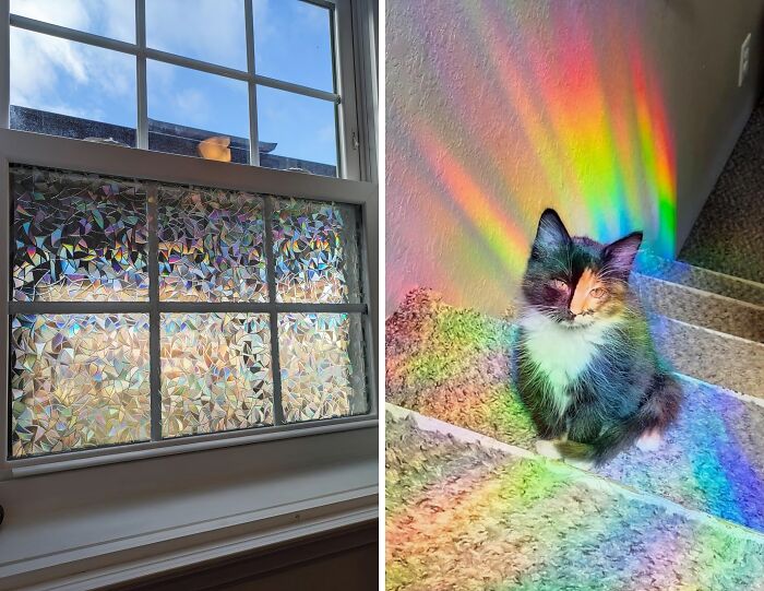 Legend Has It That Only Leprechauns Can See Through This Rainbow Window Film