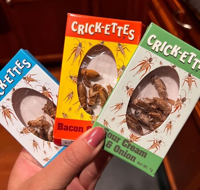 Don't Be A Chicken, Try These Crick-Ettes Sampler Gift Packs 