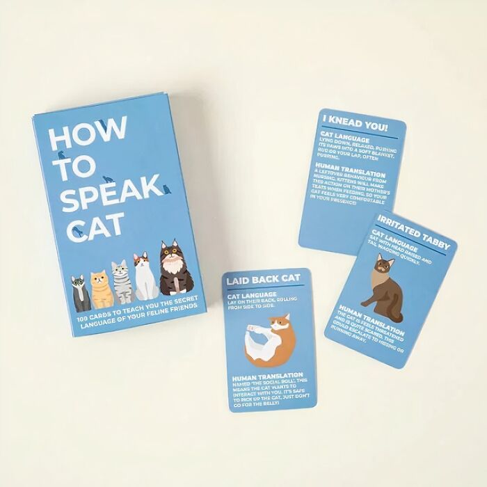  'How To Speak Cat' Cards : If You Have Ever Wanted To Understand Your Feline Friend, This Is Your Chance