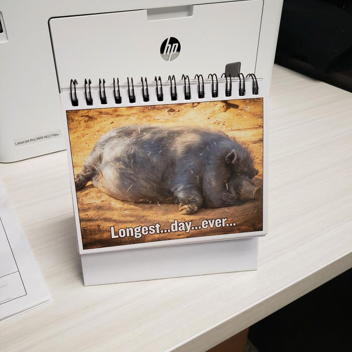 Forget Hallmark, Get Real With 23 Cards Of Hilarious Moody Expressions