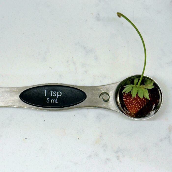 Tsp Stands For Tons Of Strawberry Produce