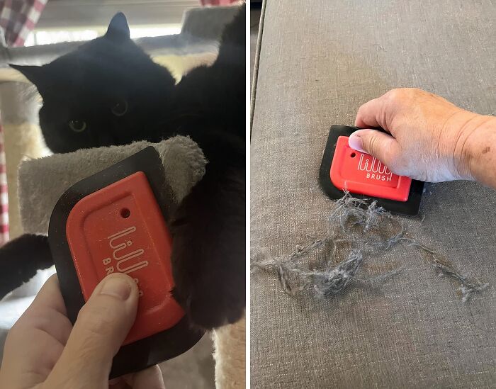 This Mini Pet Hair Remover Is The Pocket-Sized Answer To All Your Pet Hair Problems