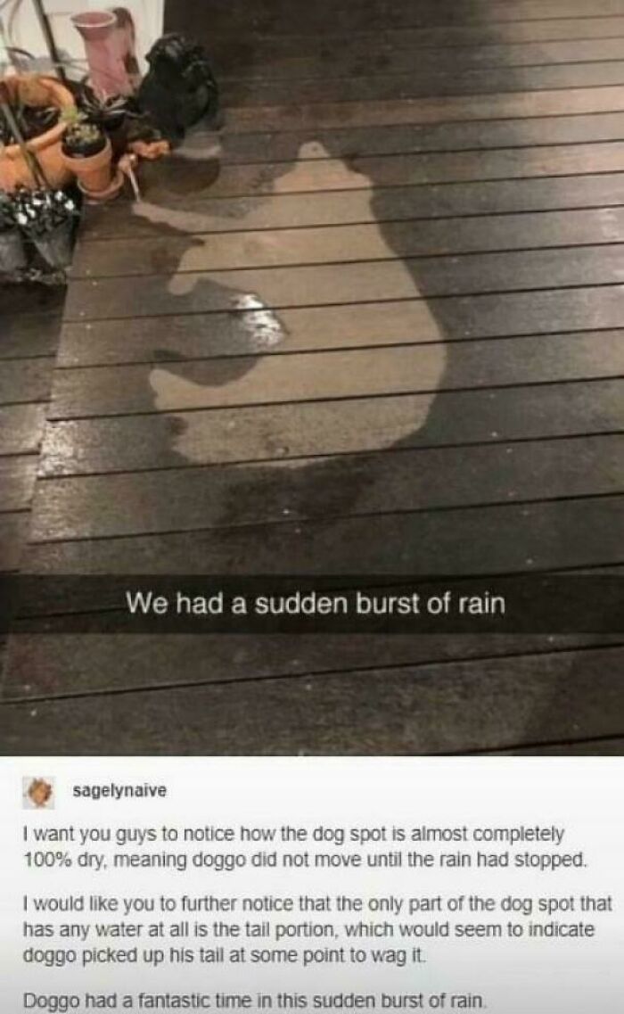 Blessed_rain