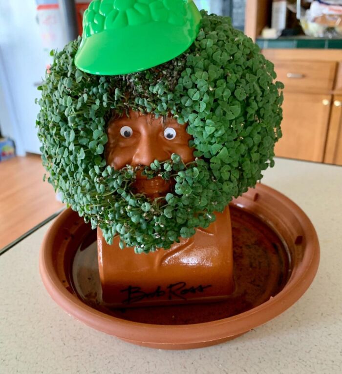 There Is Probably No Chia Pet As Iconic As The Smiling Bob Ross Chia Pet