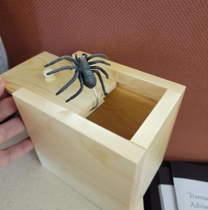 Just To Be Safe, Make Sure The Person You Give This Spider Surprise Box To Has Good Health Insurance Or Spare Underwear