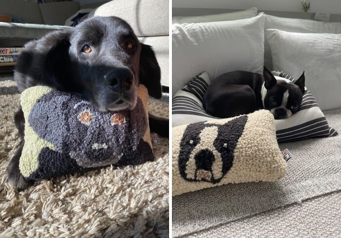 If You Can't Get Enough Of Your Pooch's Adorable Mug, Get One Of These Dog Face Pillows 