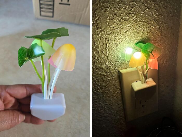 Shine Bright All Night With The Whimsical Fungi LED Night Light 