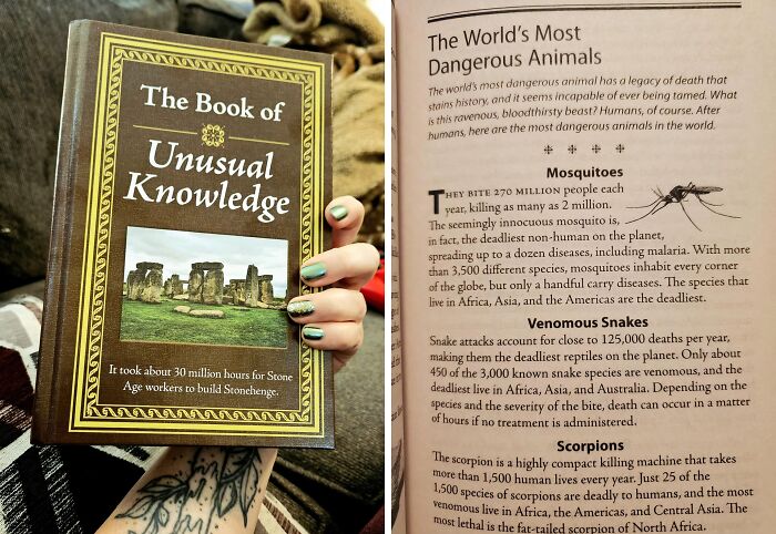 Think You Know It All? Think Again With 'The Book Of Unusual Knowledge' 