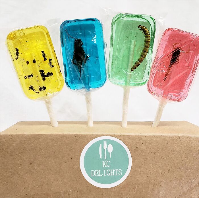  Insect Sucker Lollipops Are Giving Big Time 'Fear Factor' Energy