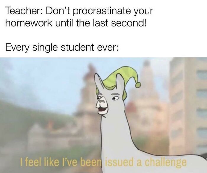 Procrastination-Memes