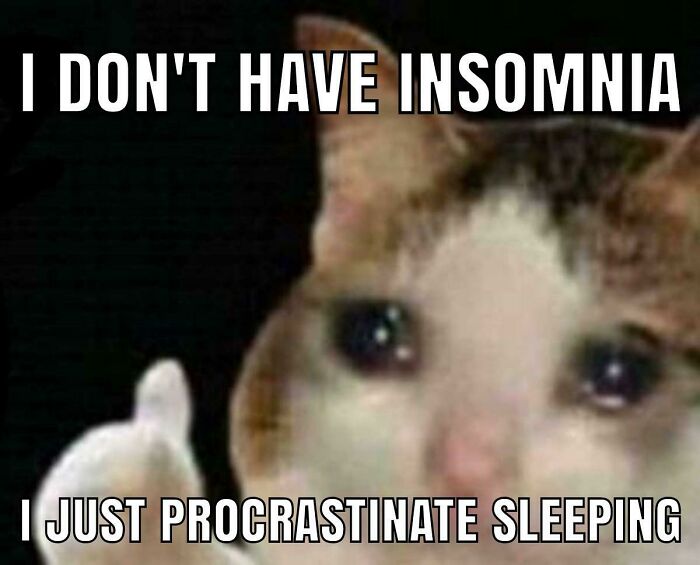 Procrastination-Memes