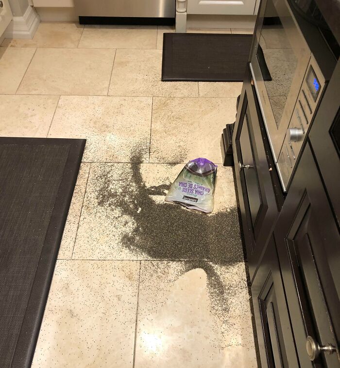 My Mom Was Just Finishing Cleaning The Kitchen And Then Spilled A Bag Of Chia Seeds On The Ground
