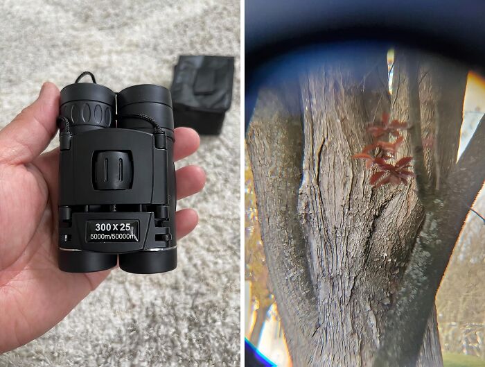 See The World Up Close (And Share It!) With The High Powered Mini Pocket Binoculars With Phone Adapter