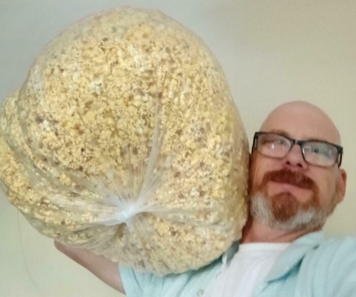 I Asked A Movie Theater What They Do With All The Extra Popcorn When They Close And Walked Out With This