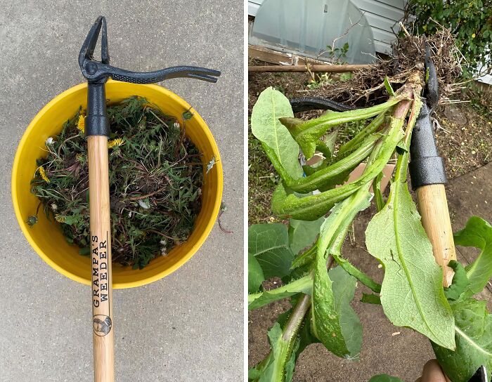  This Weed Puller Tool Will Make You Say, "Weed It And Weep!"