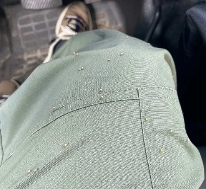 Something You Don’t Want To See While Driving… A Hundred Baby Spiders Crawling Up Your Leg