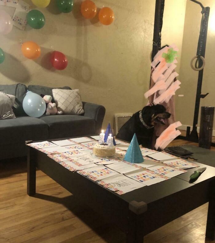 My Mother-In-Law Held A Birthday Party For Their 14-Year-Old Dog