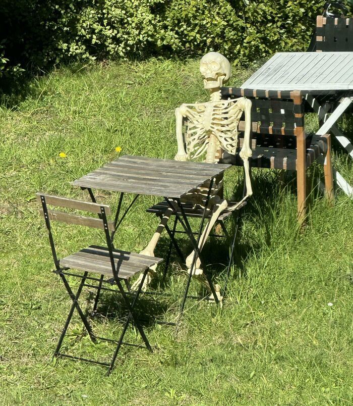 My Neighbor Brings Out His Skeleton To Sit Outside, But Only On Sunny Days