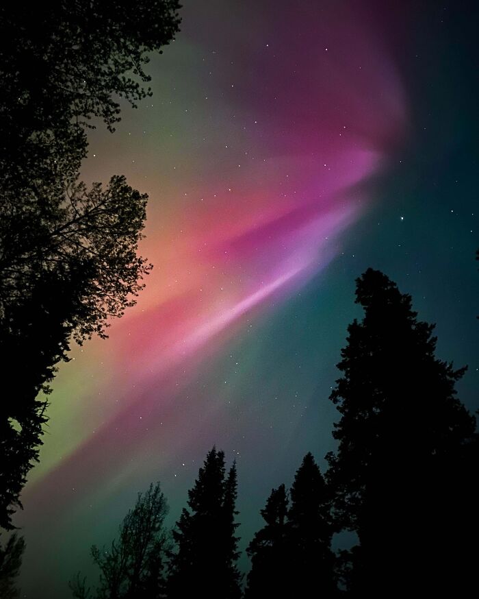 I've Always Wanted To See The Northern Lights, And Was Lucky Enough For Them To Reach Washington State