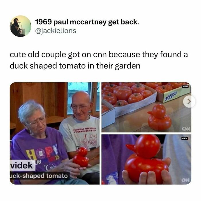 Millennial life meme: Cute couple gets attention for a duck-shaped tomato in their garden, featured on CNN.