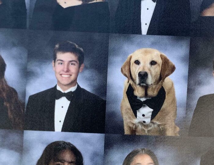 This Service Dog Got A Graduation Picture Next To His Owner